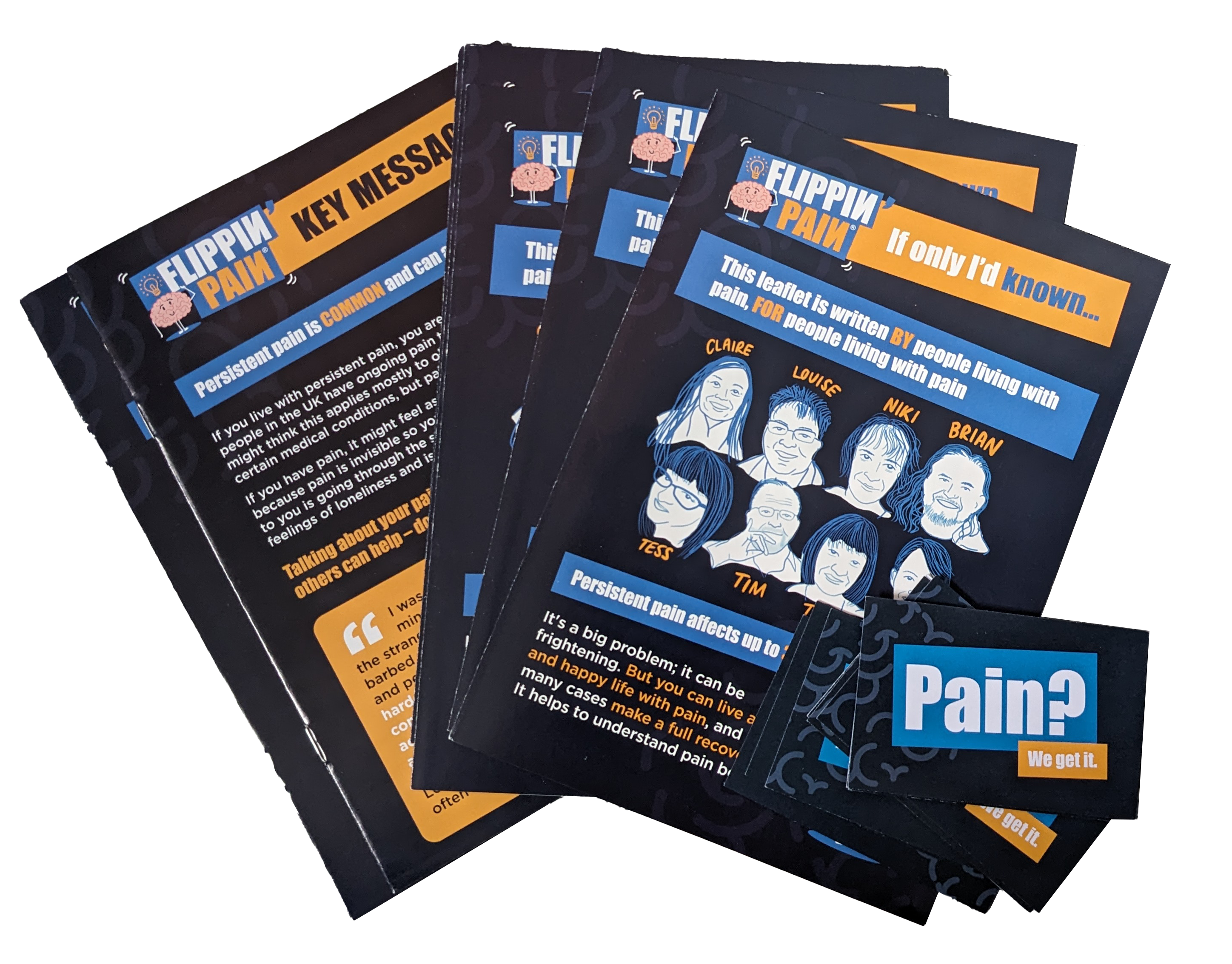 A photograph of Flippin' Pain's printed resources.